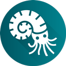 Handbook of Fossils APK