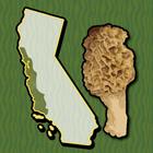 California WC Mushroom Forager 圖標