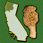 California NW Mushroom Forager icône