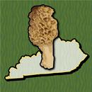 Kentucky Mushroom Forager Map APK