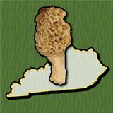 Kentucky Mushroom Forager Map