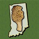 Indiana Mushroom Forager Map APK