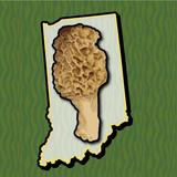 Indiana Mushroom Forager Map APK