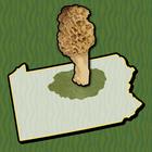 Allegheny Mushroom Forager PA icône