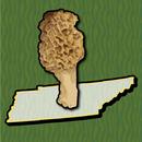 Tennessee Mushroom Forager Map APK