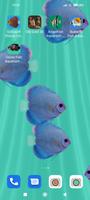 Discus Fish Aquarium LWP imagem de tela 1