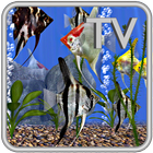 Angel Fish Aquarium TV Live Zeichen