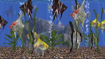 Angel Fish Aquarium TV Live 截图 1
