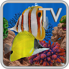 Butterfly Fish Aquarium TV ícone