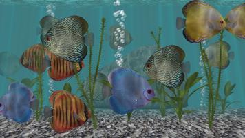 Discus Fish Aquarium TV ảnh chụp màn hình 1