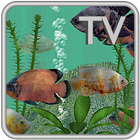 Oscar Fish Aquarium TV 图标