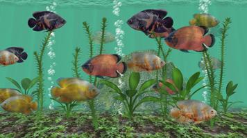 Oscar Fish Aquarium TV 截图 1