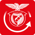 Benfica Tour 360 иконка