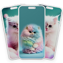 猫の壁紙 APK