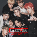 Kpop Stray Kids Live Wallpaper aplikacja