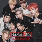 Kpop Stray Kids Live Wallpaper أيقونة