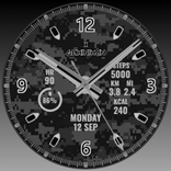 Dark Snow Digital Camo Analog