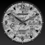 Snow Digital Camo Analog