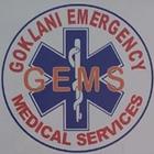 Gems Ambulance Services icône