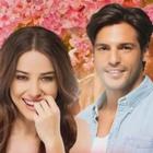 Kiraz Mevsimi icono