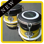 ढोल डंगडुत कोपलो