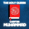 The Holy Quran wonderful voice