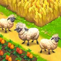 Happy Town Farm
