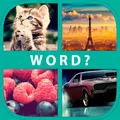 4 pics 1 word