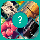 Word photo: Guess the words ícone