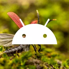 4K smart wallpapers XAPK Herunterladen