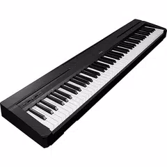 Electric Piano XAPK download