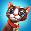 Stray Cat Survival