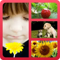 Photo Collage Original APK 下載