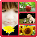 Photo Collage Original APK