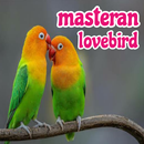 Masteran lovebird APK