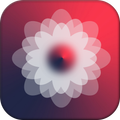 Gallery Pro