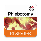 Phlebotomy icono