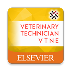 VTNE icono