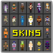 Mcpack Skin for MCPE