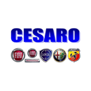 CESARO APK