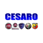 CESARO-icoon