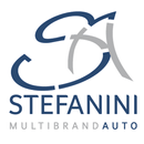 Stefanini Auto Multibrand APK