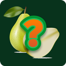 guess the fruits quiz APK