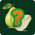 guess the fruits quiz icono