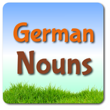 German Nouns icône