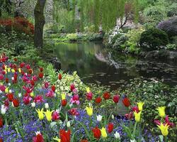 Butchart Gardens Jigsaw Puzzle 스크린샷 3