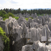 Forêt de pierre de Madagascar