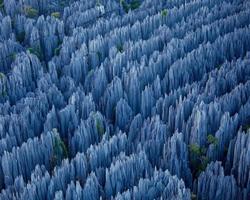 Forêt de pierre de Madagascar capture d'écran 3