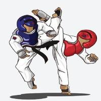 Mouvement de taekwondo Affiche