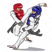 Movimiento de taekwondo captura de pantalla 1